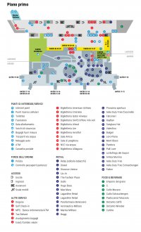 Terminal layout the airport Venice Marco Polo Airport